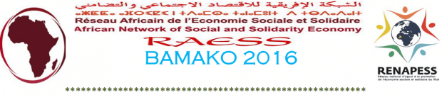 Africa: 4th RAESS meeting (Bamako 2016)
