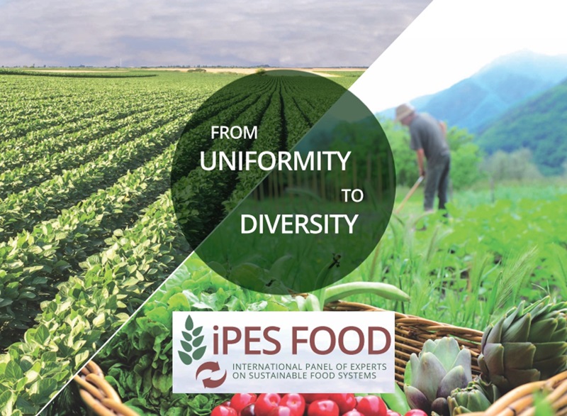 IPES FOOD y RIPESS Europa firman una carta de entendimiento