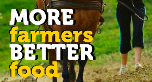 Más granjeros, mejor comida: Nyéléni Europa publica un informe sobre la PAC