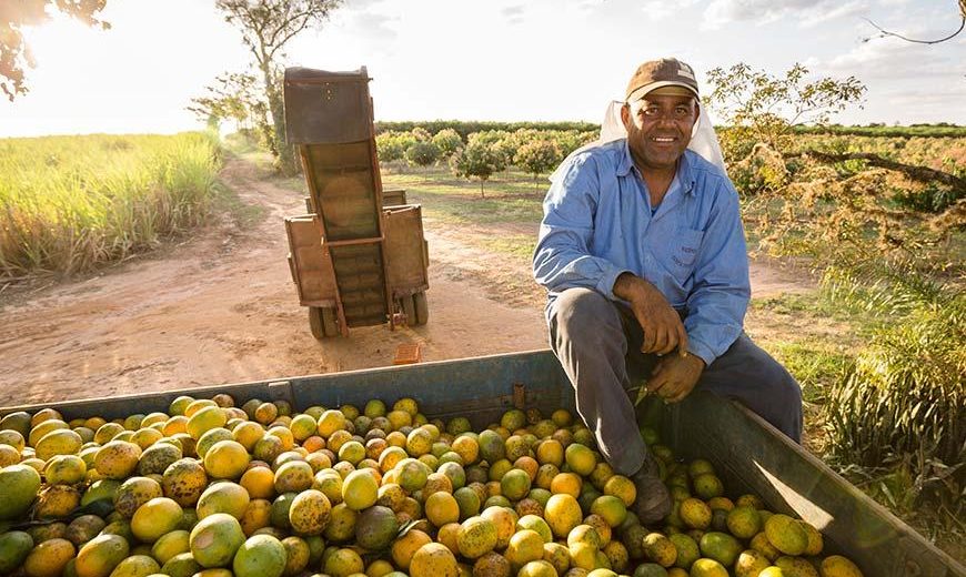 Aportar alivio y resiliencia a lxs productorxs: 3,1 millones de euros de financiación anunciados por Fairtrade International