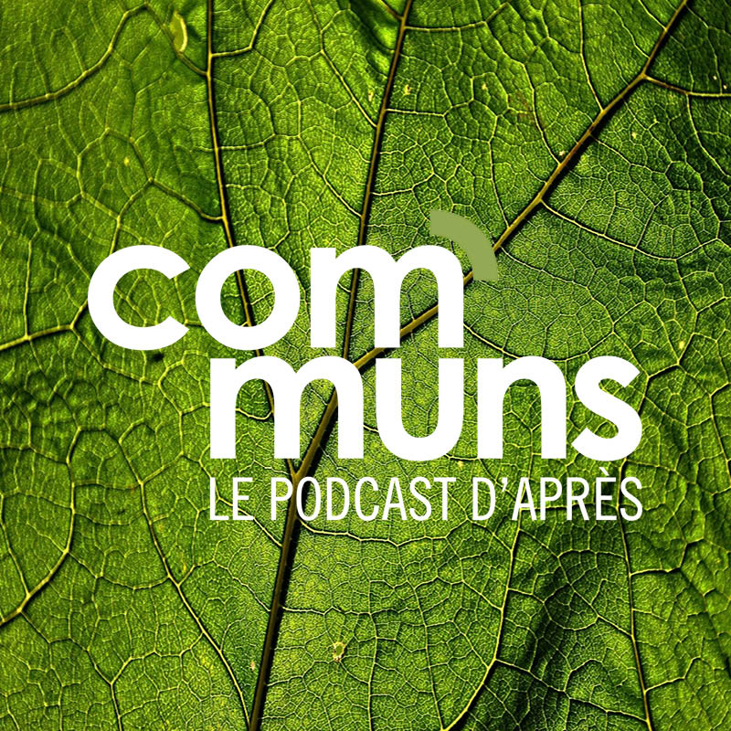 [COMMUNS] Conférence-podcast avec Michel Bauwens Économie collaborative, économie de plateforme, communs numériques