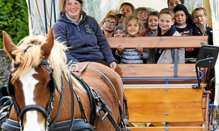 Horse-drawn carriages taking children to school? Why not?