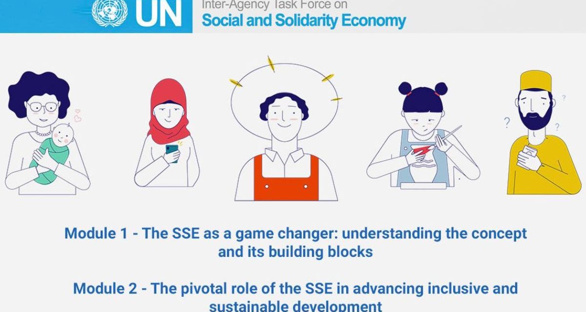 Exploring the SSE for the SDGs: the online course