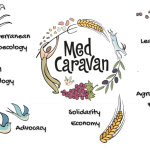 Paving the Way for Agroecological Education in the Mediterranean
