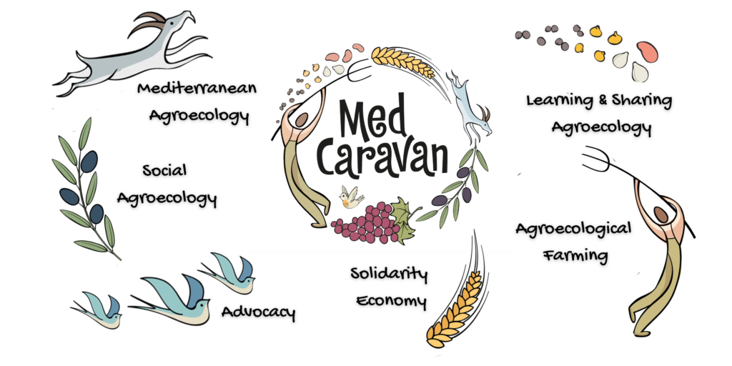 Ouvrir la voie à l’éducation agroécologique en Méditerranée