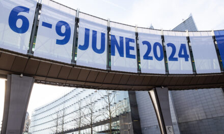 European Elections 2024: Campaigns and manifestos for social economy movements