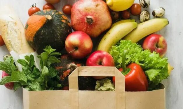 Séminaire en ligne de la CEA de Nyéléni sur la sécurité sociale alimentaire