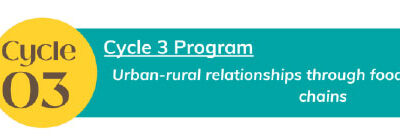 Looking Up: Urban-rural relationships through food and short supply chains