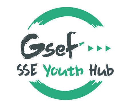 SSE Youth Hub intercontinental webinar