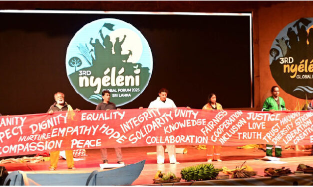 Pedagogy, Participation, and the Nyéléni Global Process